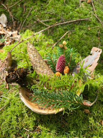 Geurpalet veluwe