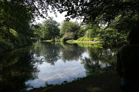 KroonDomein vijver